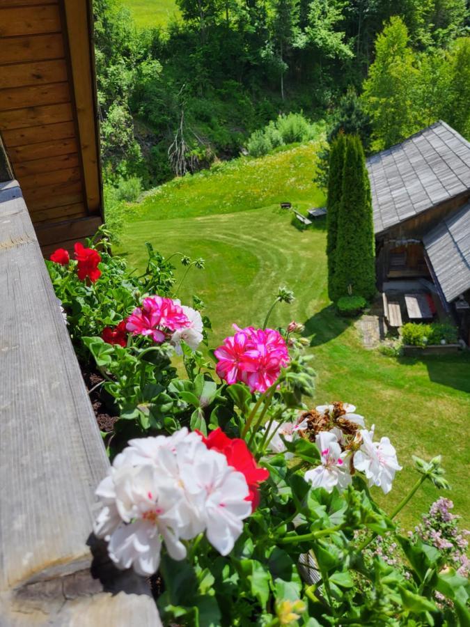 Appartements Hoeller Sankt Lorenzen ob Murau Exteriér fotografie